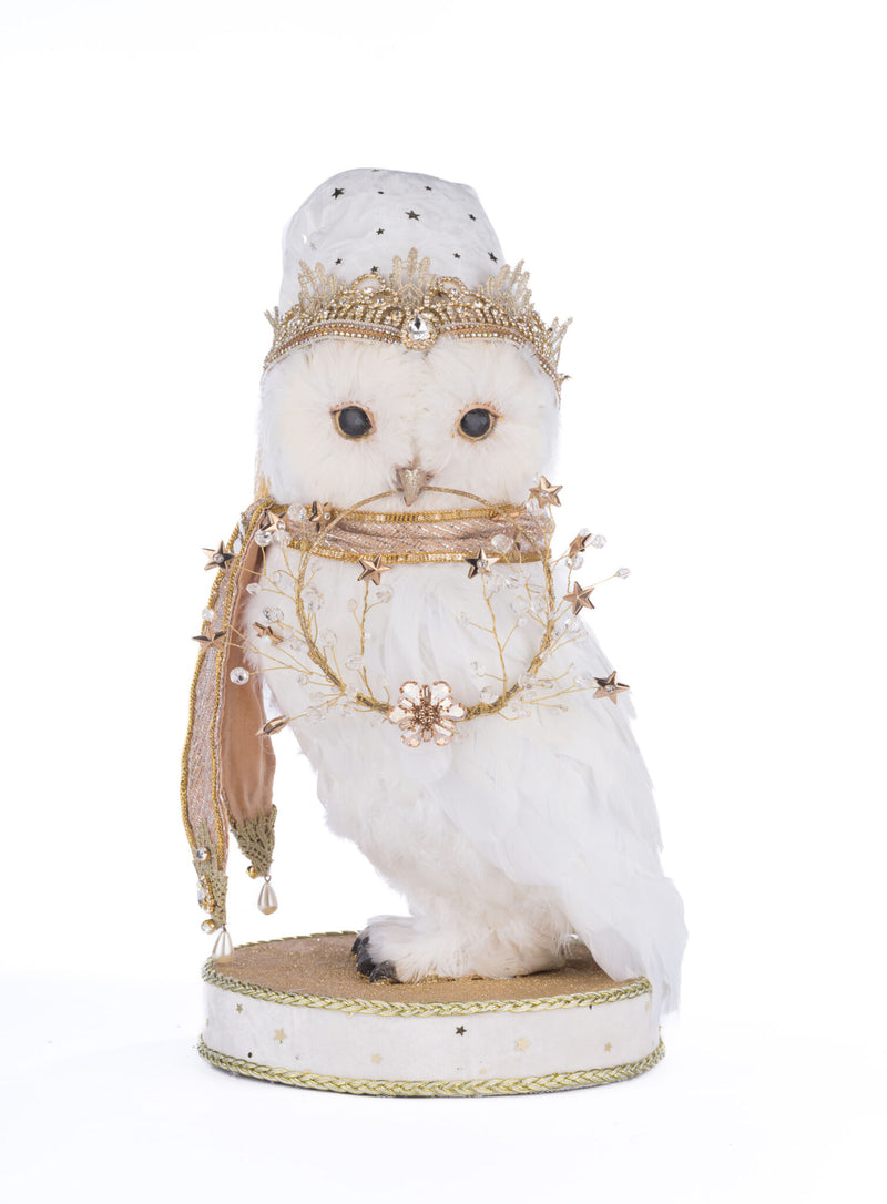 Starry Nights Comet The Owl