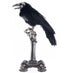 Crow on Skeleton Hand Perch image 0