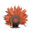 Dahlia Waddlesworth Turkey image 4