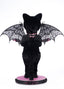 Noir Cat-Bat Server image 2