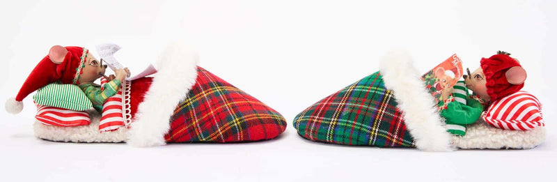 Mouse In Slippers 2A