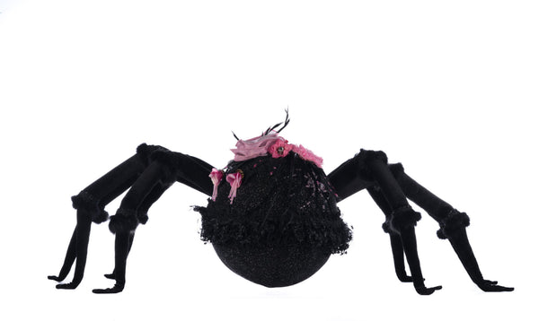 Rosie Recluse The Spider