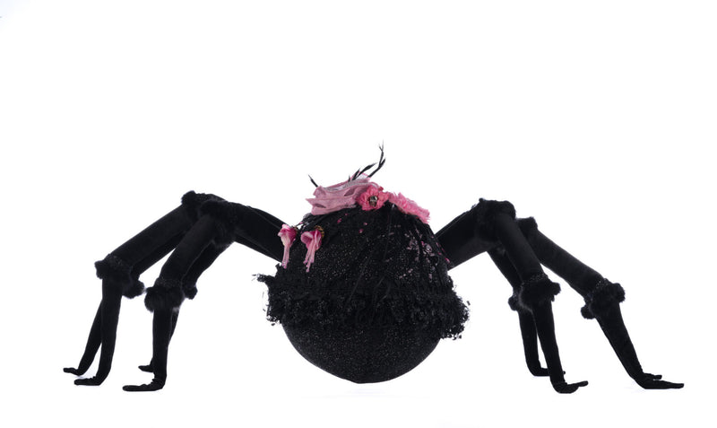 Rosie Recluse The Spider