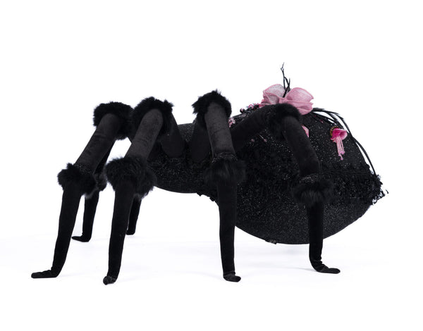 Rosie Recluse The Spider