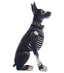 Bones the Dog