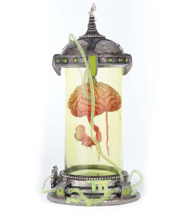 Marvin the Brain in Cloche