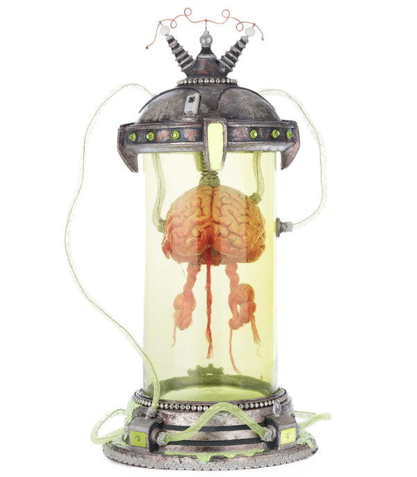 Marvin the Brain in Cloche