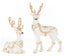 Bells of Brilliance Deer Assortment of 2