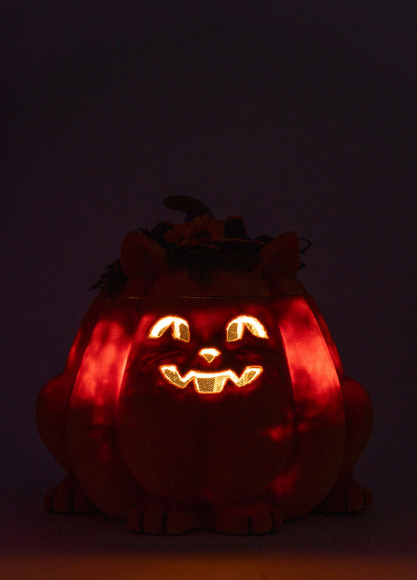 Jackie The Kitty Cat Pumpkin Candy Container image 5