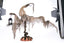 Jacks and Cats Flying Ghost With Gourd Head image 1