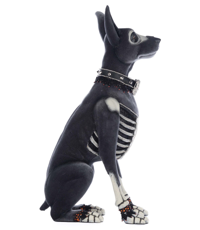 Bones the Dog image 2