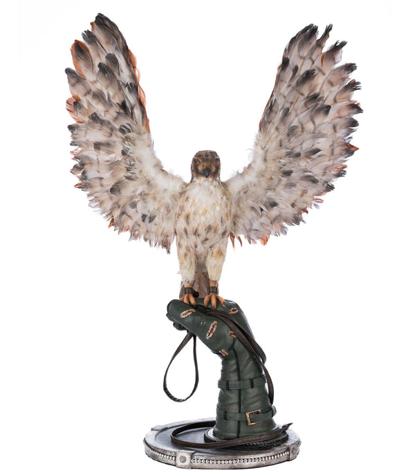 Argon Hawking on Perch image 0