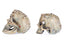 Tabletop Jewel Encrusted Skulls Assortment of 2 image 1