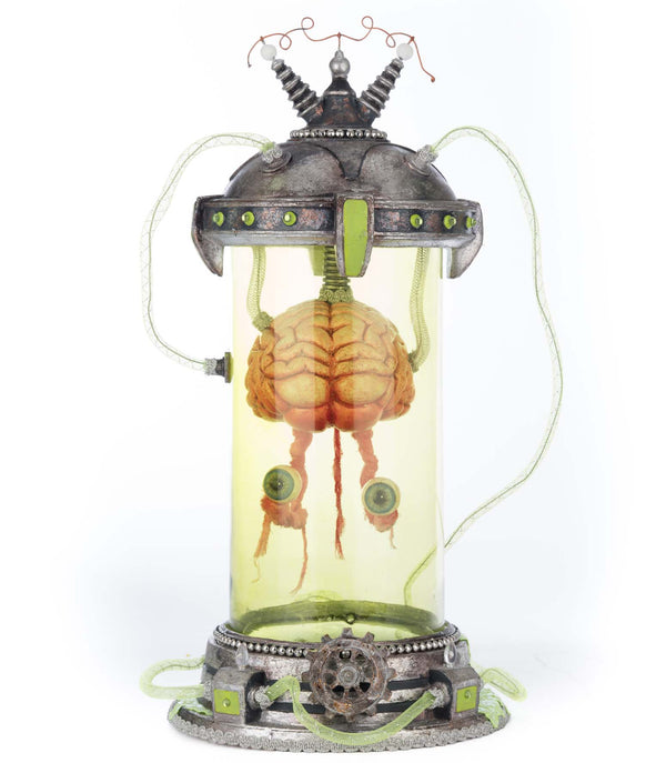 Marvin the Brain in Cloche image 0
