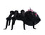 Rosie Recluse The Spider image 3