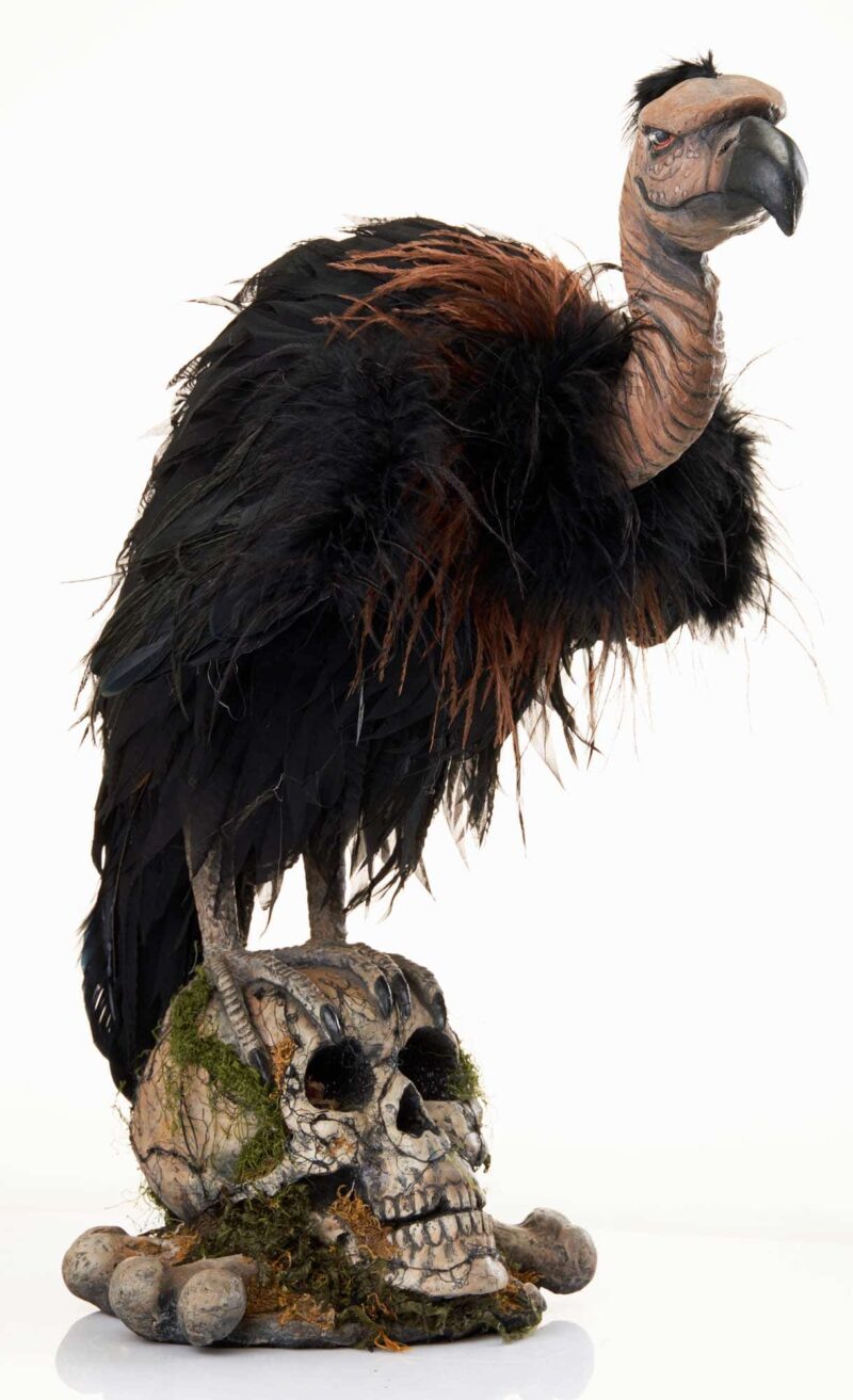 Midnight Vulture - Katherine's Collection